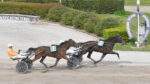 Ippodromo Snai Sesana, giovedì fari puntati sulla TQQ “Premio Scuderia Cupolone” Ippodromo Snai Sesana, giovedì fari puntati sulla TQQ “Premio Scuderia Cupolone”